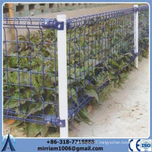 Professional Double Loop Welded Wire Fence/PVC Coated Double Circle Fence